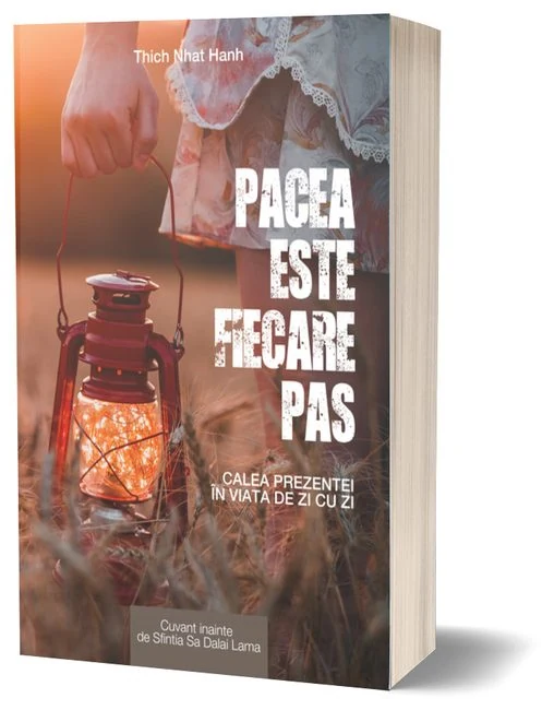 Pacea este fiecare pas — cover concept 1